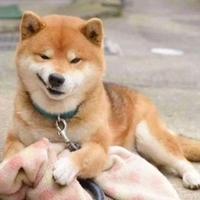 用户1546612166580头像