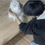 龙猫Leo头像