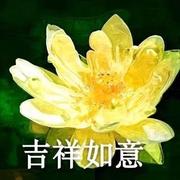 还是很一般嘛的个人资料头像