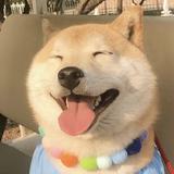 QEQE回首掏头像