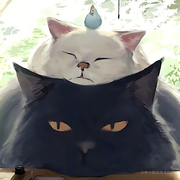 夜猫听雨的个人资料头像