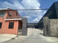 热情的山丘COW头像