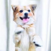 程序猿的一天的个人资料头像