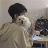 追風203头像