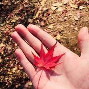 Samuel763的个人资料头像