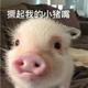 也你拉吧啦啦头像