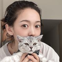 猫十一不听话头像