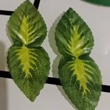 我是紫薇195头像