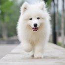 鱼与渔夫的个人资料头像