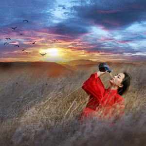 游玩行走江浙沪