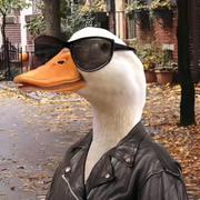 Moomang的个人资料头像