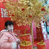 俊俏饼干PC头像