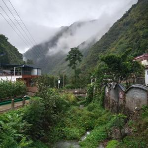 三哥（花开团）终南山寨头像