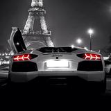 唯一的魔法药水头像