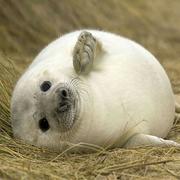 wcp576的个人资料头像