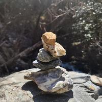 超级飞侠乐迪来啦头像