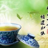 笑而不语5o9r头像