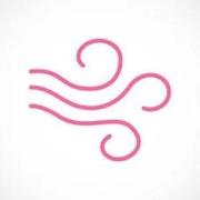 S1mpleWind的个人资料头像