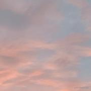 Miaomiao的个人资料头像