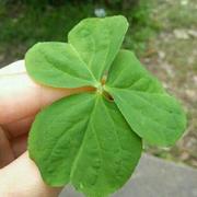 zaxdr的个人资料头像