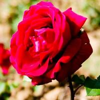 用户2407990543481头像