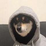 海波Hypo361头像