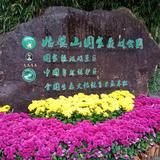 细腻埃文1Q1头像