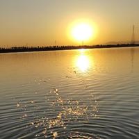 小陈子生活记头像