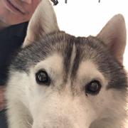 拦云的个人资料头像