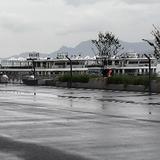哪吒s小白头像