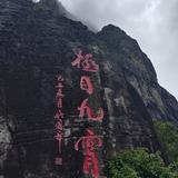 星空下的一株小草头像