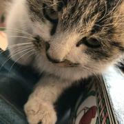 用户613397312566的个人资料头像