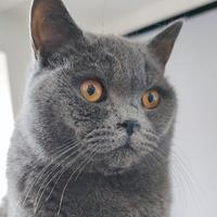 旅行我的侣行头像