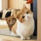 杨同志91970的个人资料头像