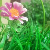 品味人生5759头像