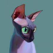 码保国的个人资料头像