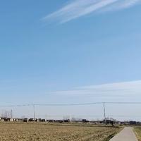 偶很淡定1991头像