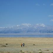 前端九层塔的个人资料头像