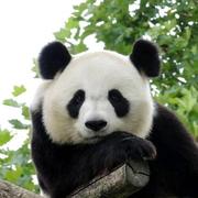 用户5628343049935的个人资料头像