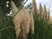 拉小磨的千里驴的个人资料头像