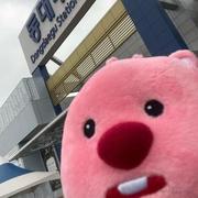 EchoLaughing的个人资料头像