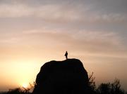 马步冲拳的个人资料头像