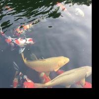 用户3975887885292头像