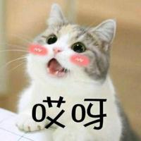 听海哭的声音962头像