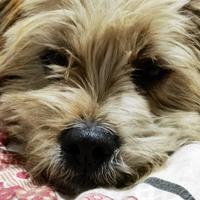 王淞超级无敌霹雳冥王头像