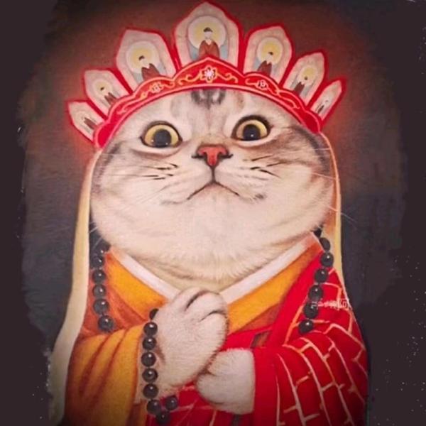 天猫养车腾飞头像