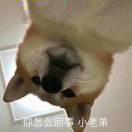 澈_的个人资料头像