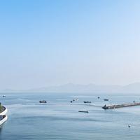 商业切片菌头像