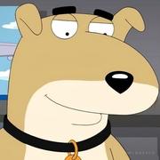 淮屿的个人资料头像