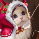 taotao大人头像